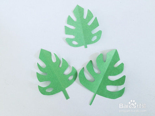 儿童剪纸——如何用彩纸剪龟背竹叶子?