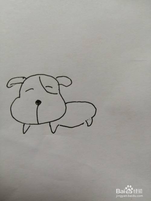 第六步,然后我们继续画出可爱的小狗的身体,画法比较简单.