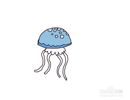怎么画儿童彩色简笔画海洋动物水母?