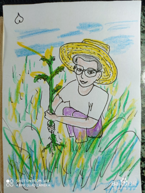 怎样画简笔画禾苗的农民伯伯?