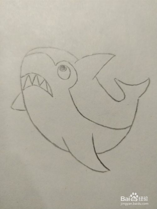 简笔画画大鲨鱼