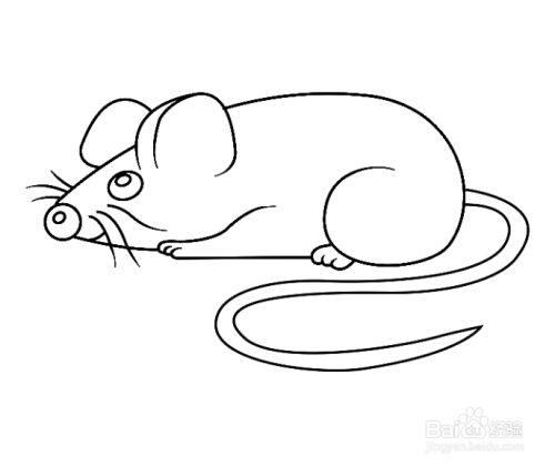 如何手工画躺着的老鼠简笔画?