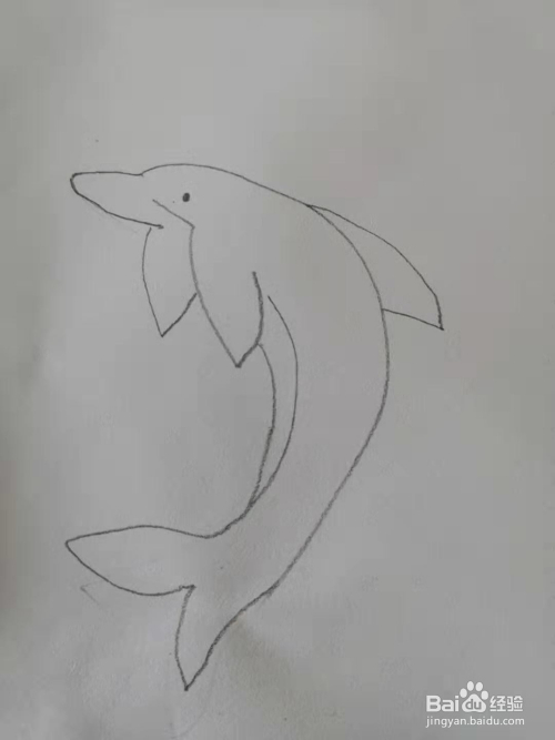 如何画海豚简笔画?