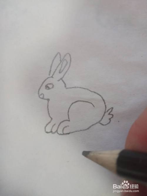 小兔子怎么 一步一步画?