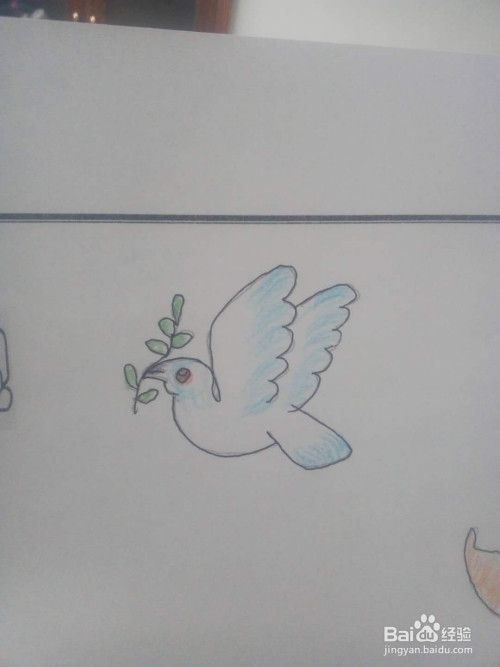 画出和平鸽的图案