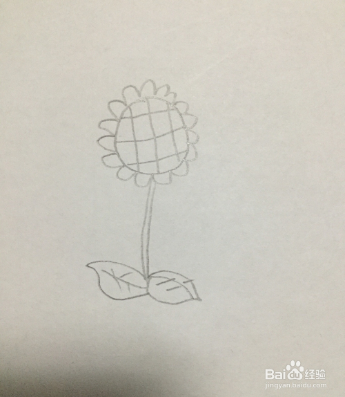 怎么画向日葵的简笔画