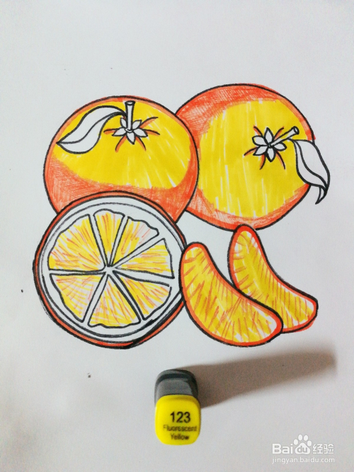 手绘三个橙子卡通绘本插图