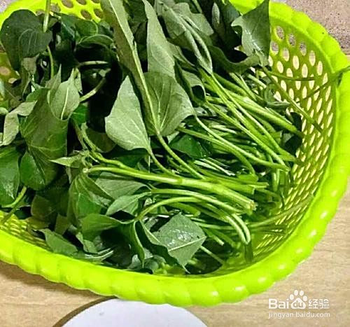 冷冻存储红薯叶