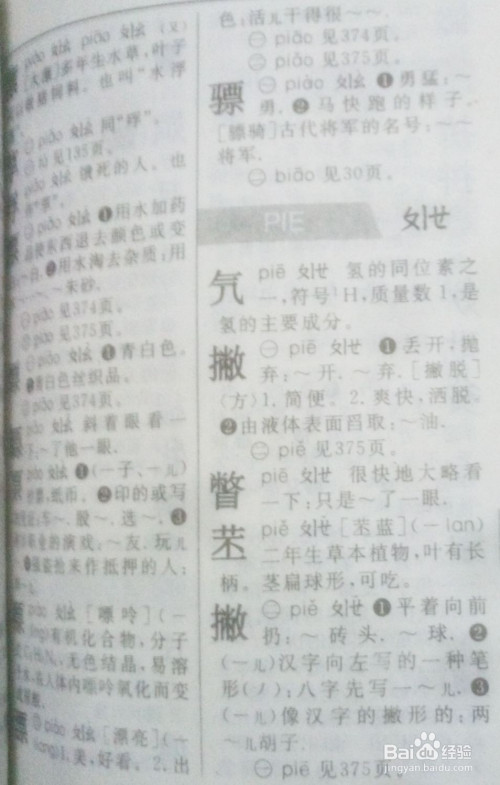 如何用多音字"漂"组词