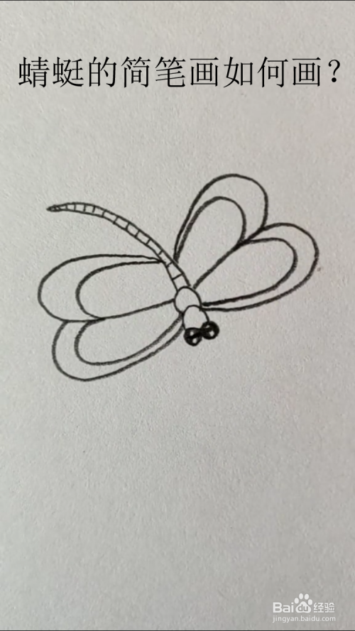 蜻蜓的简笔画如何画?