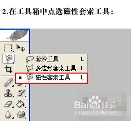 ps磁性套索工具抠图步骤