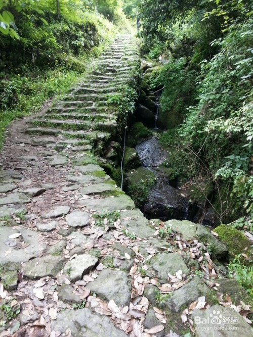 游衢州东坪古道