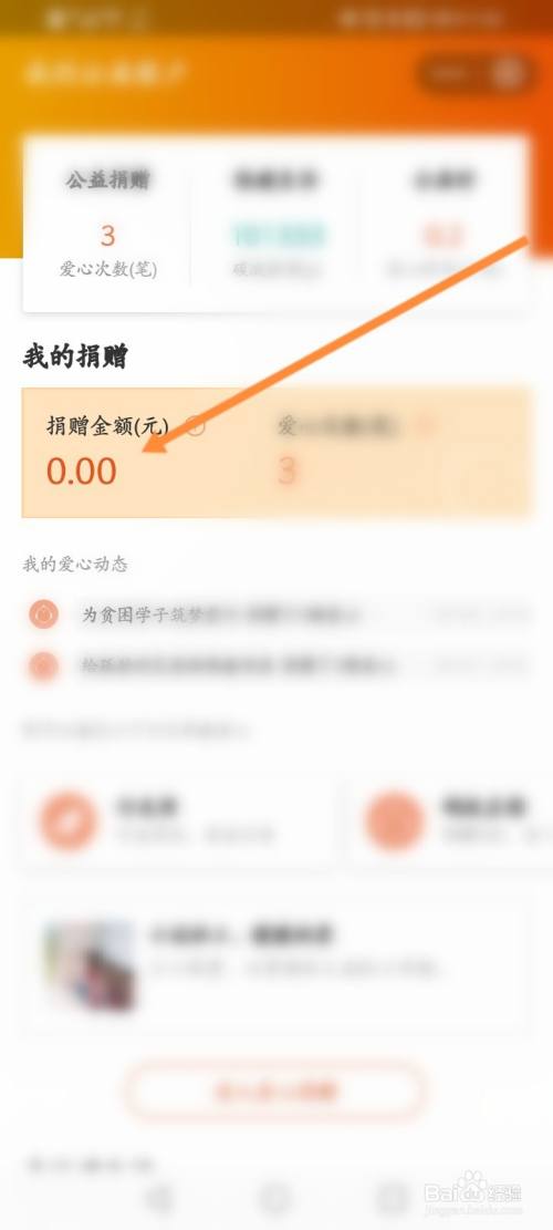 支付宝怎么查看捐赠的金额