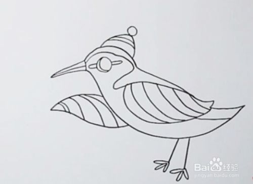杜鹃鸟怎么画