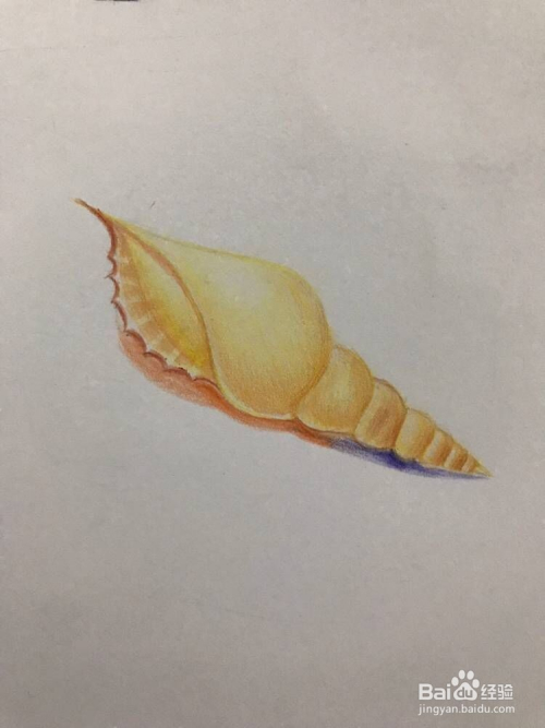 如何画彩铅海螺方法