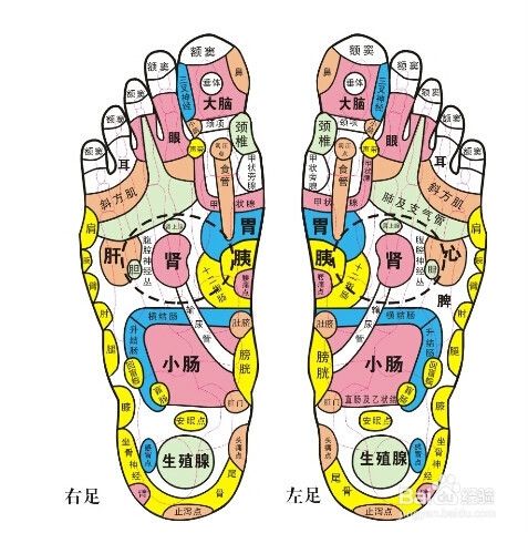 7 脚上很多穴位,直接映射着人体的器官,泡脚可以舒缓压力.