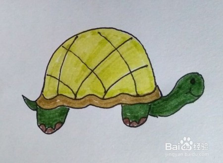 幼儿简笔画:怎么画小乌龟