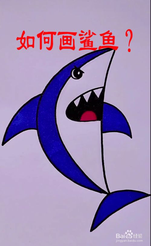 如何画鲨鱼?