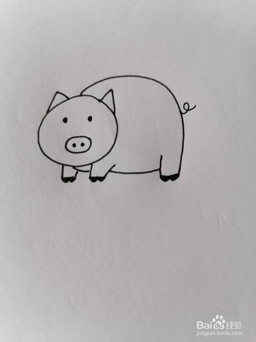 画上小猪的身体和脚,有一只脚被挡住可以不用画,别忘了加一条猪尾巴