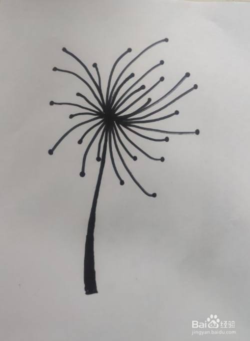 在下面用黑色的马克笔或者勾线笔画出蒲公英的茎.
