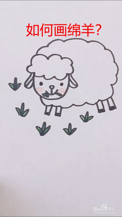 如何画绵羊?