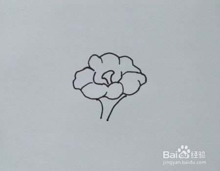 将牵牛花的花瓣,花蕊画成功,如图所示.