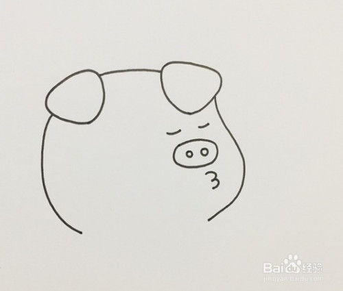 在面部画出小猪眯成一条线的眼睛后往下画出它的猪鼻子以及嘟着的嘴巴