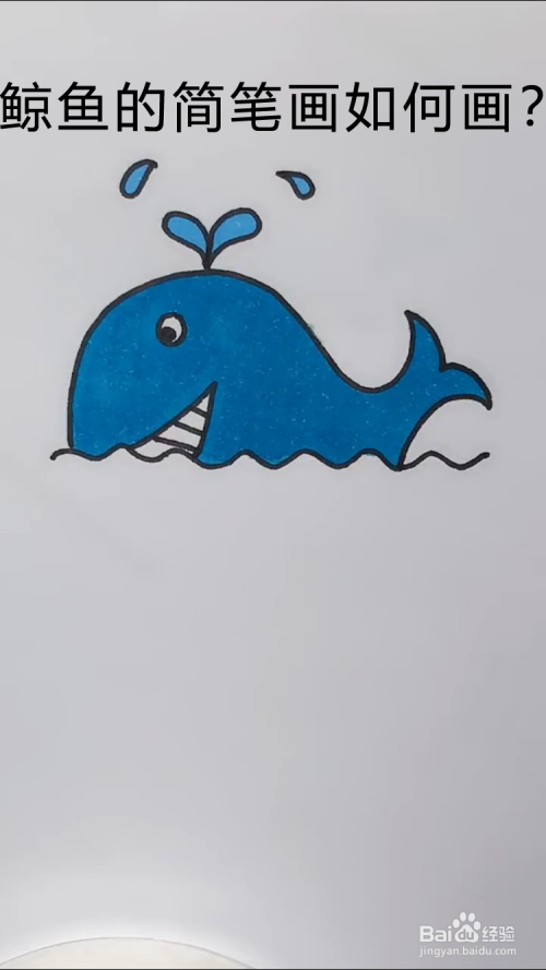 鲸鱼的简笔画如何画?