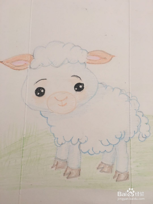 一个卡通呆萌羊的彩铅画怎么画