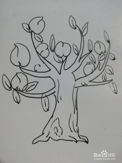 怎么画简单的桃树