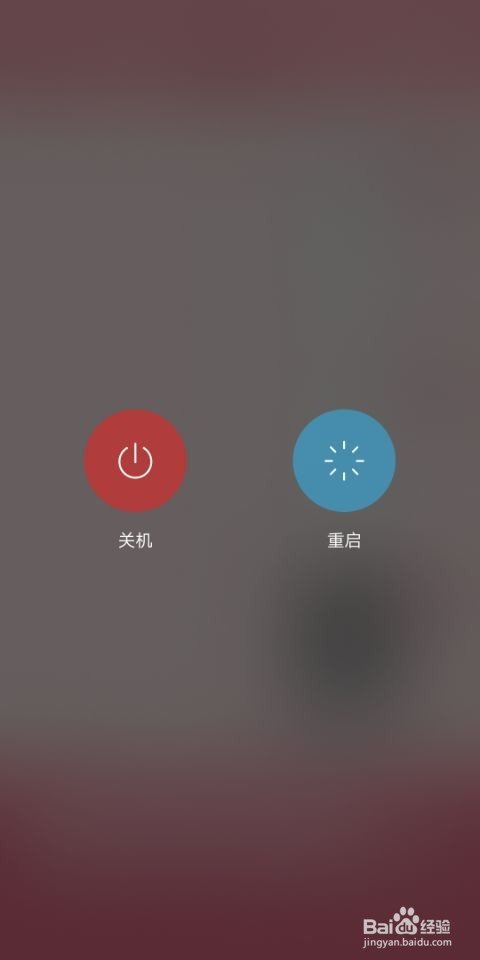 手机照片储存文件夹cameva没有了怎么办