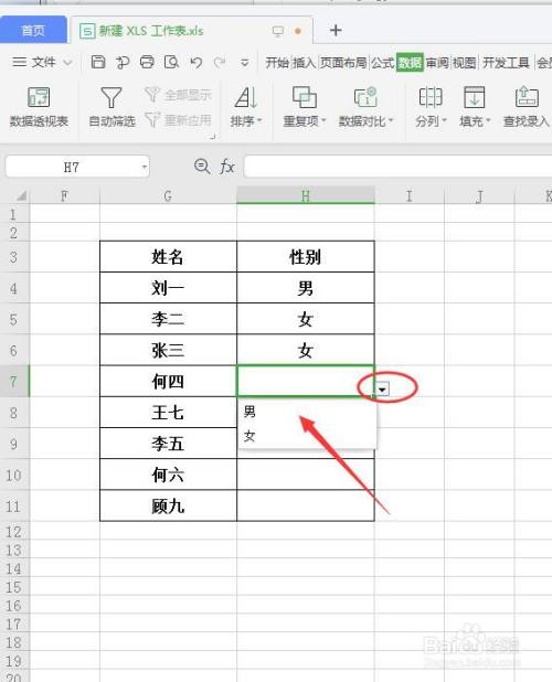 wps表格如何设置表格中的性别录入限制?