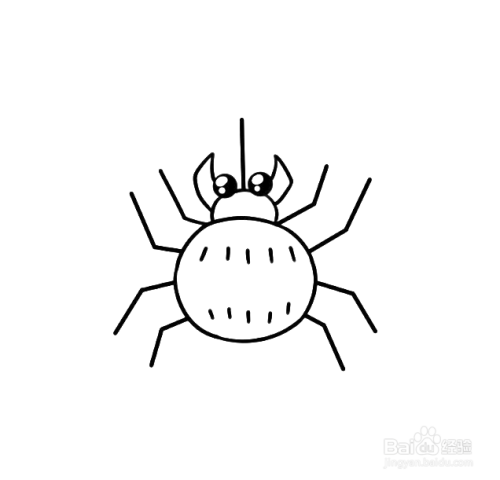 幼儿园如何教小朋友画蜘蛛的简笔画?