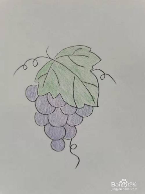 卡通葡萄怎么画
