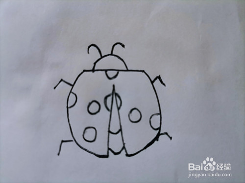儿童简笔画 七星瓢虫