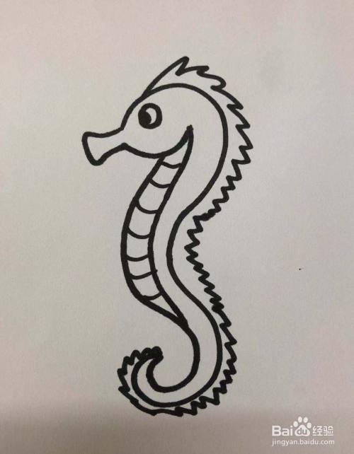 怎么画海马的简笔画;海马简单好看的画法