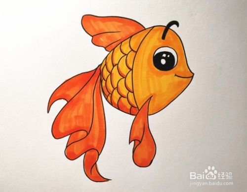 涂小金鱼的尾巴和鱼鳍,还有鱼鳞的暗面,这样一幅小金鱼简笔画就完成啦