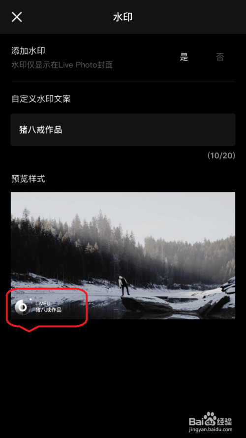 苹果手机自定义"live照片"水印详细教程