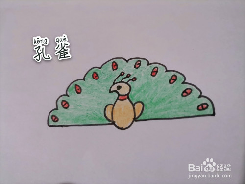 儿童简笔画 一只漂亮的绿孔雀