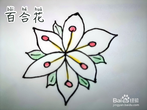 简笔画 一朵漂亮的百合花 #新人打卡