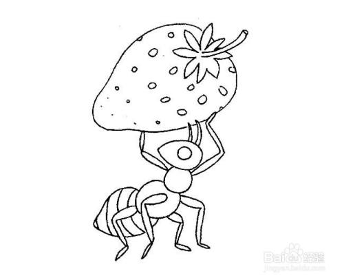 搬运草莓的彩色蚂蚁的简笔画