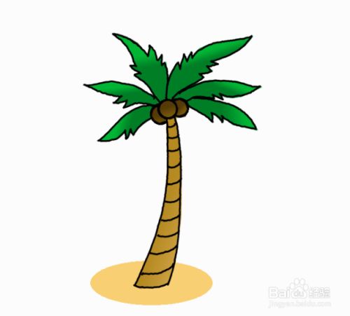 如何画简单的椰子树
