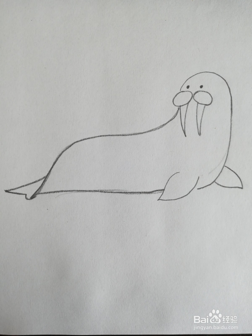怎么画海豹的卡通简笔画