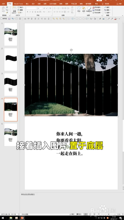 接着调整它的合适位置与大小,接着插入图片,置于底层
