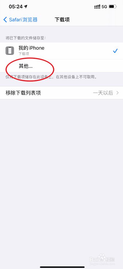 iphone12safari浏览器下载项怎么设置为其他