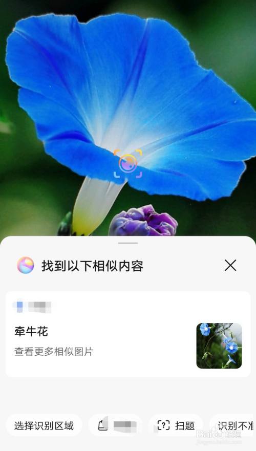 华为手机怎么识别花草