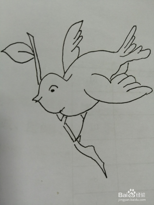 树枝上的小鸟怎么画