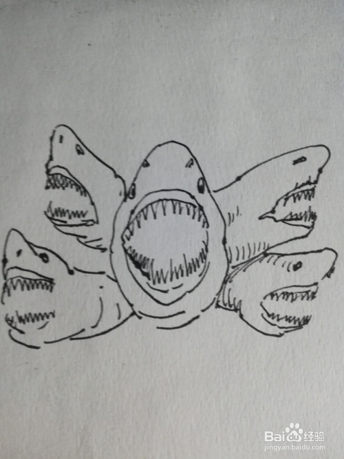 六头鲨怎么画