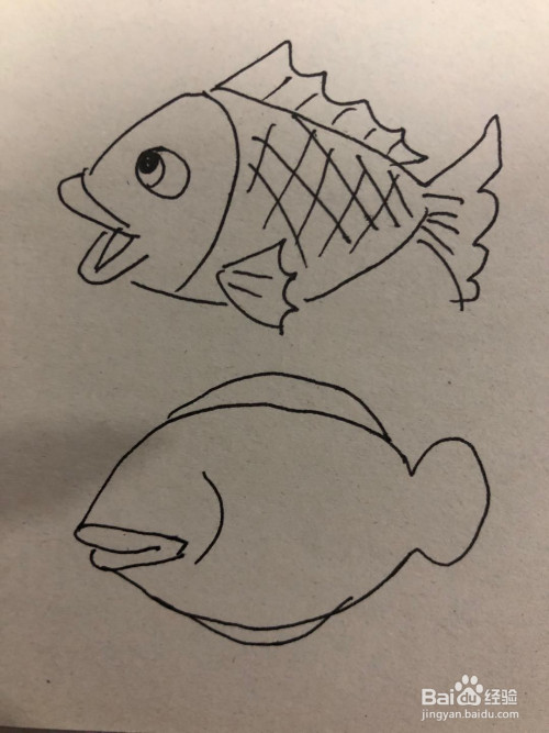 各种鱼的简笔画