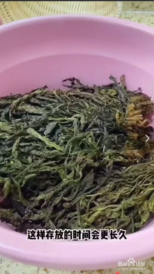 如何制作梅干菜